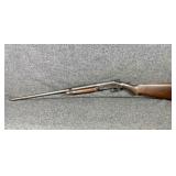 White Powder Wonder 20 Ga. Choke Shotgun