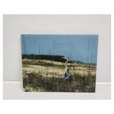 Great Blue Heron Photography By Pam Chartrand