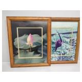 Voodoo Lily, and Water Lily Photography By Pam