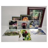 Photograph Zoo Animals By Pam Chartrand, and