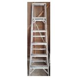 Aluminum Ladder and Wooden Step Ladder