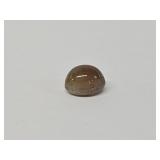 Natural Apatite Cats Eye 2.75CT Gem