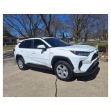 Important Auction Information