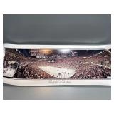 2008 Stanley Cup Champions Poster