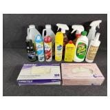 Cleaning Supplies and Gloves
