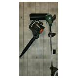 Leaf blower electric, gas weedwhip