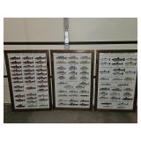 Great Lakes sportsman Game fish pictures x3