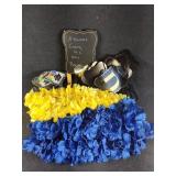 Graduation Party decorations