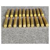 20 Rounds 223 Cal