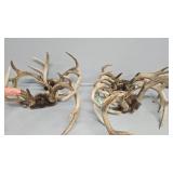 Deer Horns x7