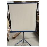 DA- Lite Projection Screen