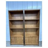 Bookshelves with bottom cabinet (2)
