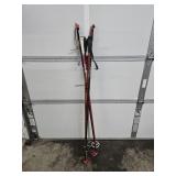 Ski Poles