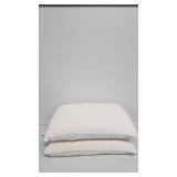 2 Comfort  Revolution Standard Bed Pillows