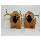 Deer Antler Mounts (2)