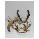 Pronghorn Antelope Antlers and Deer Antlers