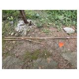 Bamboo, Cane