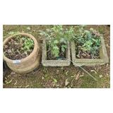 Cement Planters(3)