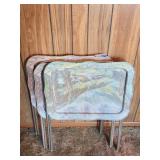 Metal Dinner Trays(3)