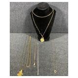 Womanï¿½s Costume Necklaces (6)