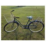 Schwin Bike