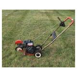 Craftsman Edger