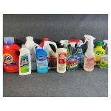 Laundry Detergent, Bowl Cleaner, Drano, Windex