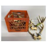 Milk Crate Of Antlers