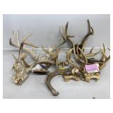 Antlers