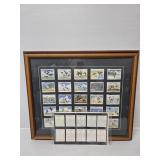 25 "Wildfowl" Cigarette Cards Painted by Peter