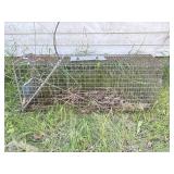 Large Live Trap