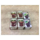 6 toothpick holders with toothpicks
