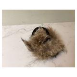 COYOTE EARMUFFS COYOTE EARMUFFS