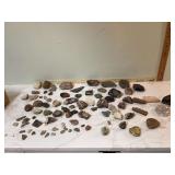 Collection of various rocks
