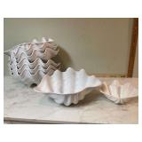 Plastic shell serving bowls Plastic shell serving bowls