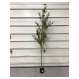 ARTIFICIAL OLIVE TREE - HOME DECOR