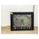 UNIVERSITY OF MICHIGAN PICTURE