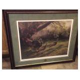 National Wild Turkey " Federation. "First Rays National Wild Turkey " Federation. "First Rays