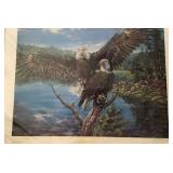 Eagle print 24 x 19" print copyright 1984 by