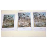 (Qty 3). Printed "Pintail Majesty" by Harold R (Qty 3). Printed "Pintail Majesty" by Harold R