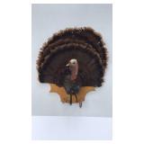 Turkey wall mount, turkey tail spread 29 inches,