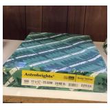 Wausau Astrobrights, 11' x 17'