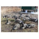 12 T stake geese