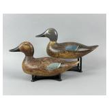 Rare Evans Pr. of Blue-Winged Teal