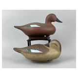 Charlie Bryan Pr. of Cinnamon Teal