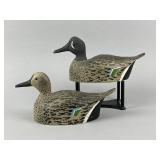 John Jurgenson Pr. of Blue-Winged Teal