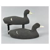 2 Ron Koch Coot Decoys