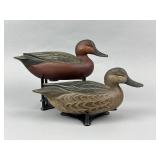 Sean Sutton Pr. of Cinnamon Teal