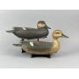 Bob White Pr. of Gadwall Duck Decoys