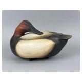 Sean Sutton Canvasback Drake Duck Decoy